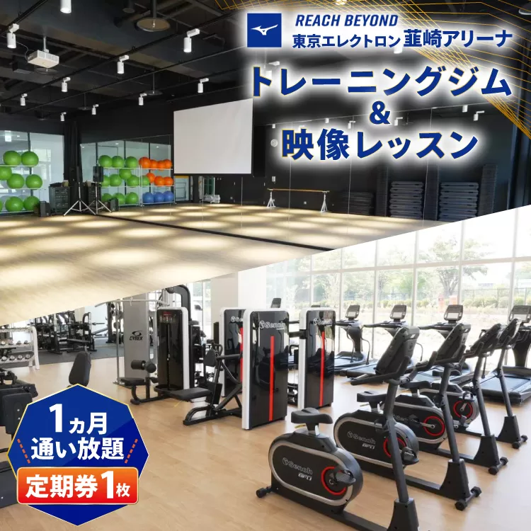 東京エレクトロン 韮崎アリーナ トレーニングジム＆映像レッスン1ヵ月定期券 1枚 [美津濃株式会社 山梨県 韮崎市 20745310] ジム 定期券 トレーニング 韮崎 スタジオ 利用券 スポーツジム チケット 体験