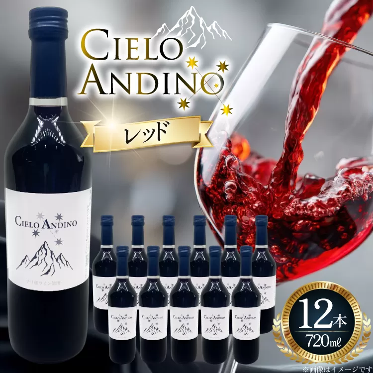 ワイン 赤 シエロアンディーノ・レッド 720ml 12本 セット [カサ・ピノ・ジャパン 山梨県 韮崎市 20745347] ワインセット 山梨 酒 お酒 赤ワイン アルコール ぶどう 果実酒