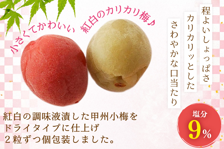 9,5KG 甲州小梅　無農薬、カリカリ梅、収穫してからすぐ発送新鮮梅 楽天市場】【ふるさと納税】【カリカリ】梅干し 小梅 カリカリ梅