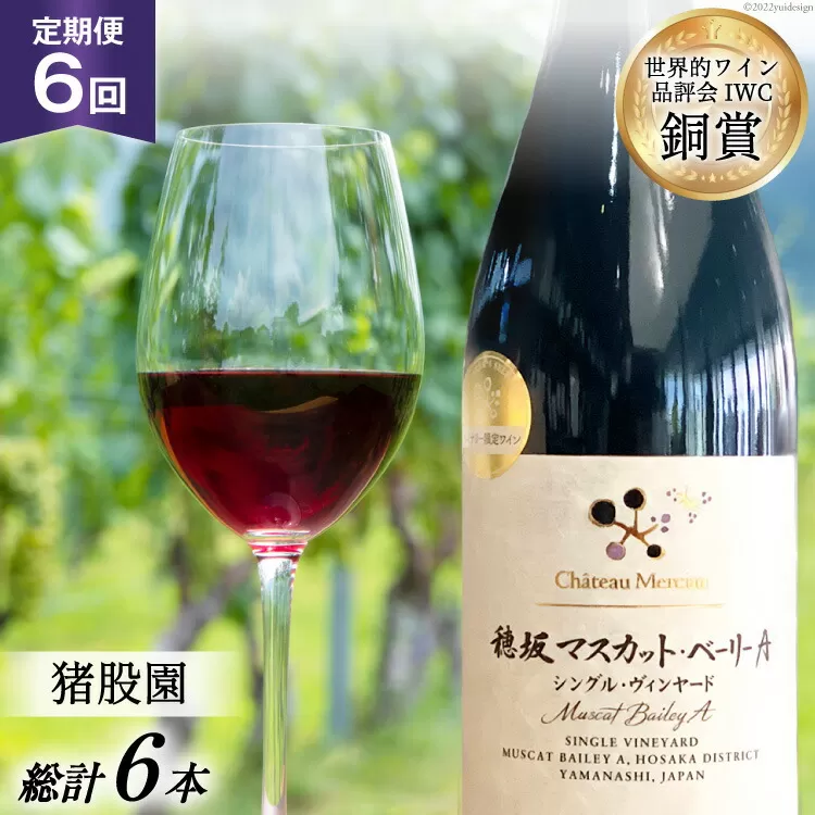 定期便 ワイン 赤 穂坂マスカット・ベーリーA シングル・ヴィンヤード 栽培責任者 猪股宣夫 750ml×6回 酒 赤ワイン/ シャトー・メルシャン 勝沼ワイナリー / 山梨県 韮崎市 [20743316]