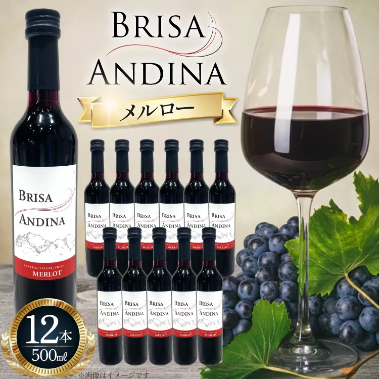 ワイン 赤 ブリサ・アンディーナ メルロー 500ml 12本 セット [カサ・ピノ・ジャパン 山梨県 韮崎市 20745346] ワインセット 山梨 酒 お酒 赤ワイン アルコール ぶどう 果実酒