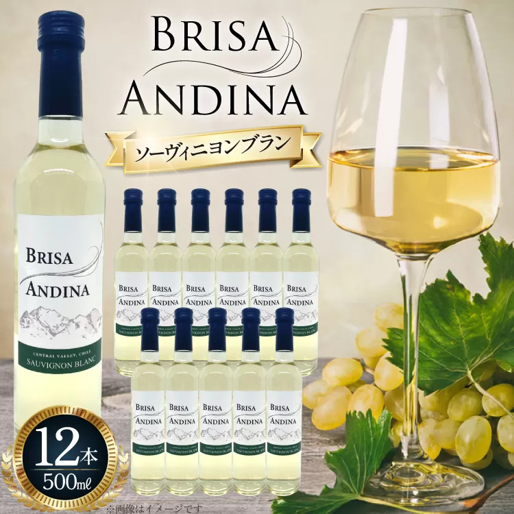 ワイン 白 ブリサ・アンディーナ ソーヴィニヨンブラン 500ml 12本 セット [カサ・ピノ・ジャパン 山梨県 韮崎市 20745345] ワインセット 山梨 酒 お酒 白ワイン アルコール ぶどう 果実酒