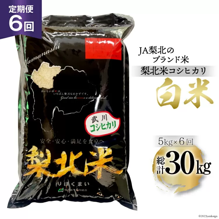 【定期便】【6回 米 定期便 】 武川米 コシヒカリ 5kg×6回 総計30kg [梨北農業協同組合 山梨県 韮崎市 20743672] こしひかり お米 おこめ こめ コメ 精米 30キロ ご飯 ごはん 白米 国産 JA梨北