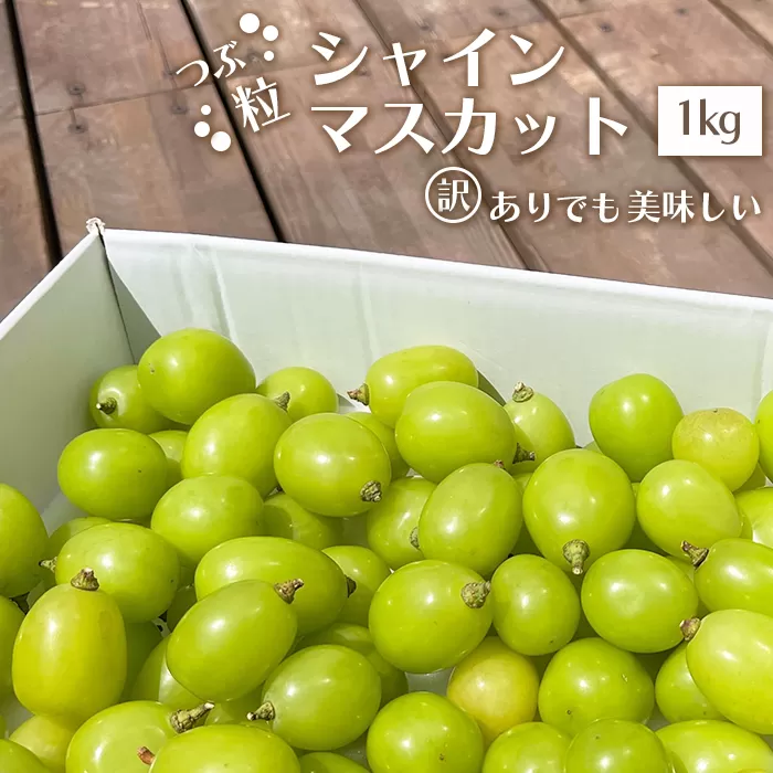 【2026年発送★先行予約】訳あり シャインマスカット 粒 約1kg ※クール便　154-033-26y
