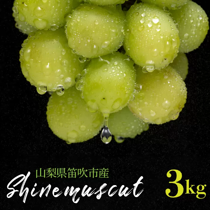 ＜25年発送先行予約＞シャインマスカット 3kg 山梨県笛吹市産 235-004