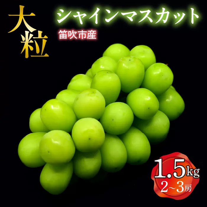 【2026年発送★先行予約】笛吹市産　大粒シャインマスカット　1.5㎏(2～3房) 227-003