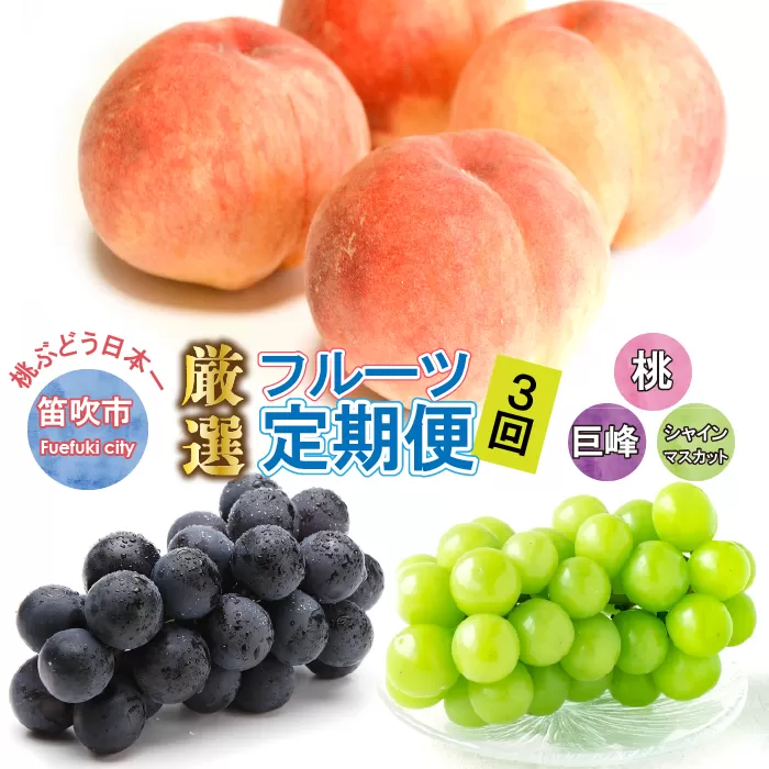 3回定期便 数量限定 山梨 桃 もも 巨峰 シャインマスカット シャイン 山梨県 笛吹市 高評価 産地直送 ランキング ご家庭用 ギフト プレゼント 盛り合わせ フルーツ 154-028