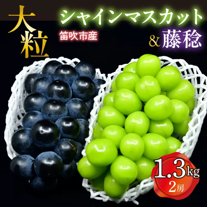 【2026年発送★先行予約】笛吹市産 大粒シャインマスカット・藤稔セット(2房) 1.3㎏ 227-006