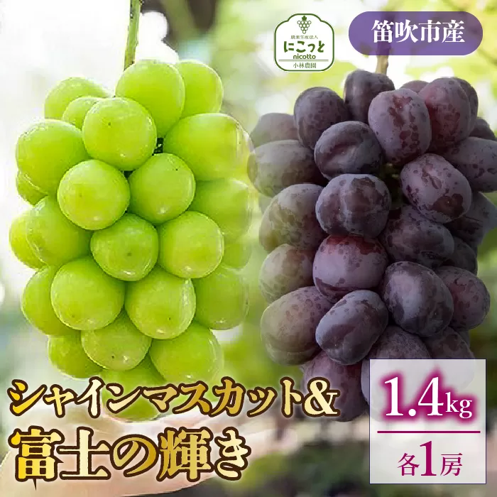 ＜25年発送先行予約＞シャインマスカット・富士の輝　1房ずつ（合計1.4kg） 097-023