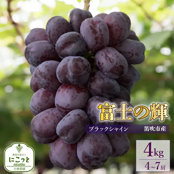 【2026年発送★先行予約】たっぷり4キロ　富士の輝 （4-7房）097-015-26y