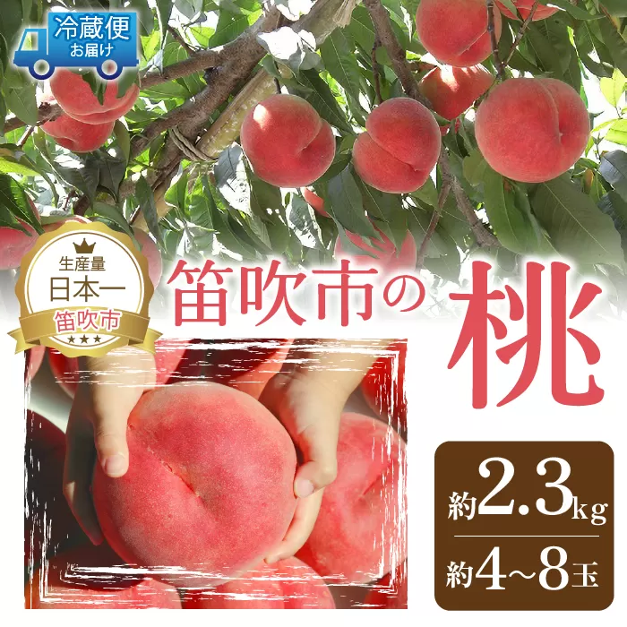 ＜25年発送先行予約＞山梨の完熟桃2.3kg以上 111-018