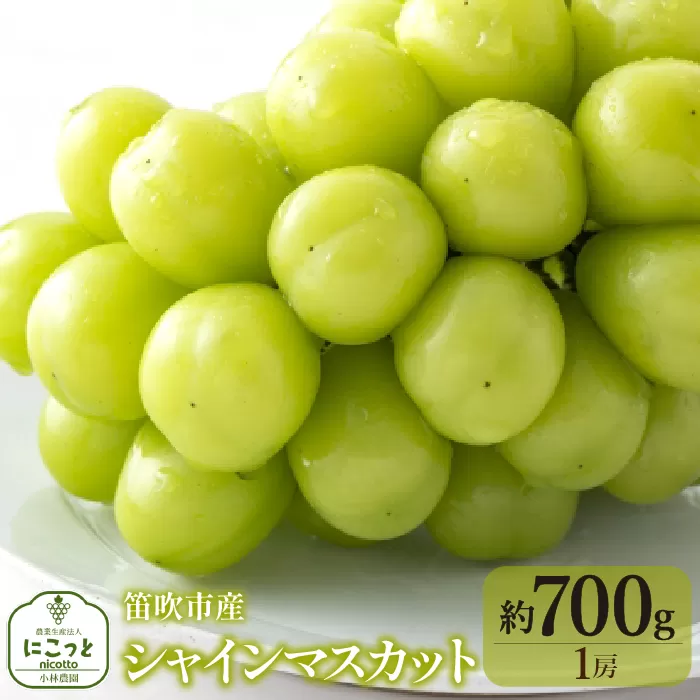 ＜25年発送先行予約＞シャインマスカット700g（１房） 097-022