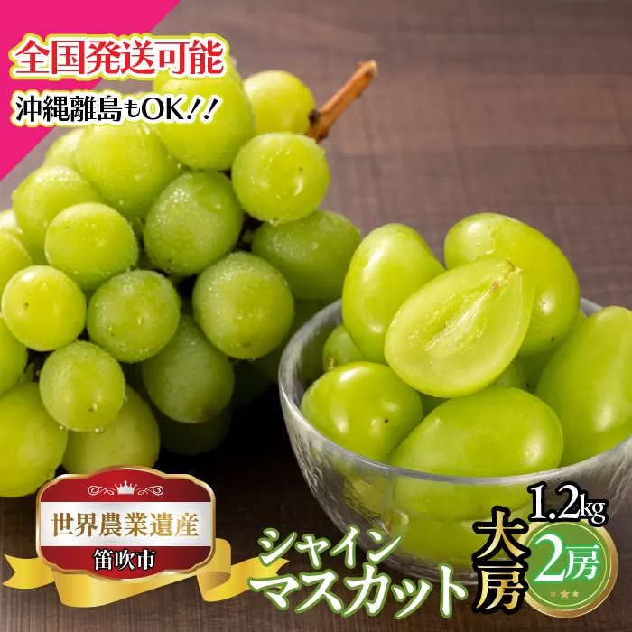 【2026年発送★先行予約】山梨県笛吹市産　シャインマスカット大房2房 1.2kg 223-027-26y