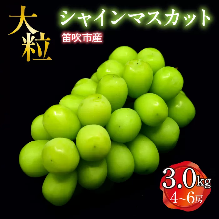 【2026年発送★先行予約】笛吹市産　大粒シャインマスカット　3.0㎏(4～6房) 227-005