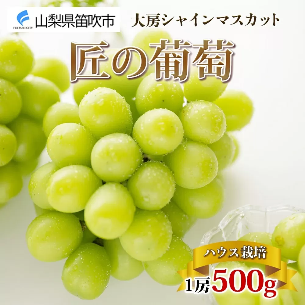 ＜25年発送先行予約＞ハウス シャインマスカット 秀品 匠の葡萄 1房 500g前後※クール便配送 177-014