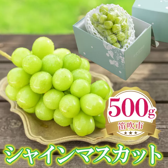 ＜25年発送先行予約＞シャインマスカット 500g 222-008-4