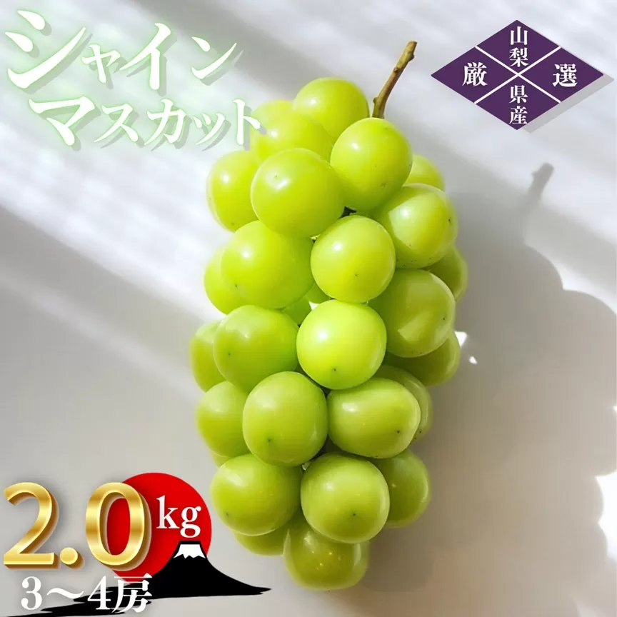 ＜25年発送先行予約＞笛吹市産　厳選シャインマスカット［2.0kg］（3～4房）フルーツ大国！山梨県笛吹市より産地直送 209-005