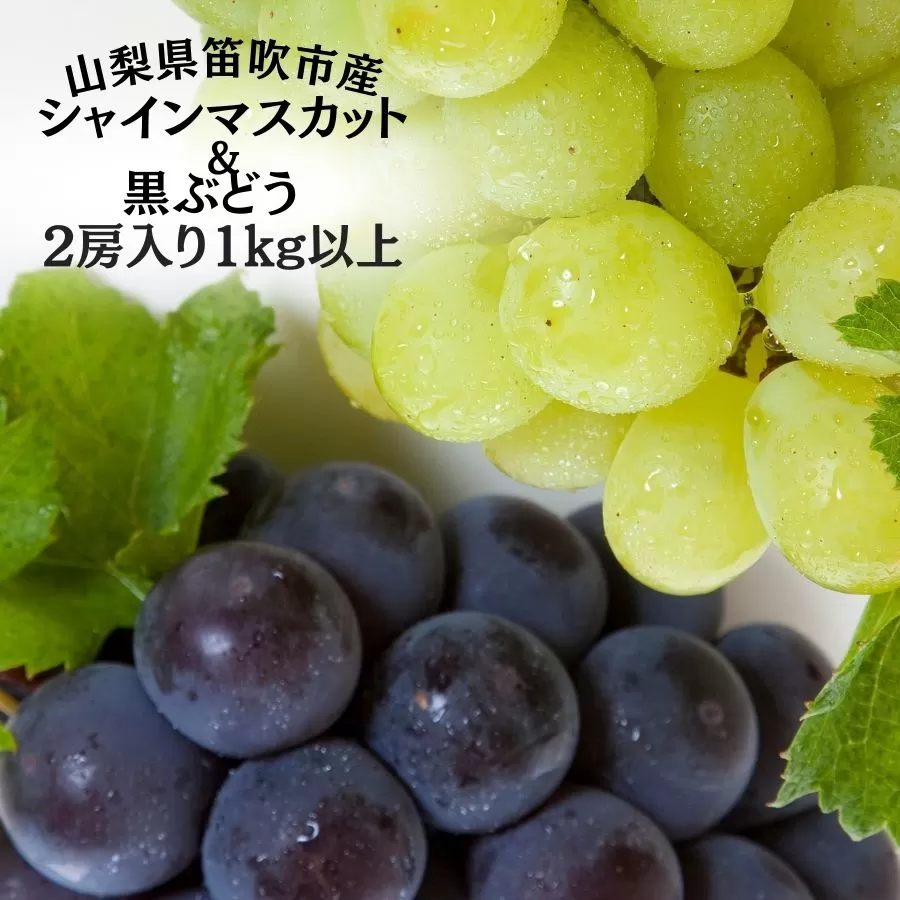【2026年発送★先行予約】笛吹市産旬の葡萄2房入り2色セット 1kg以上 167-142-26y