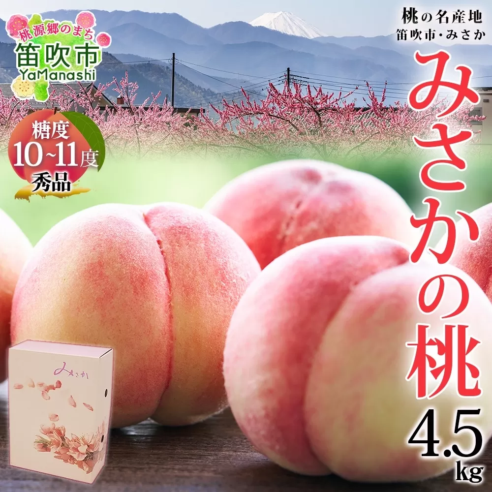 ＜25年発送先行予約＞桃 秀品 4.5kg 糖度10％以上※クール便配送 177-006