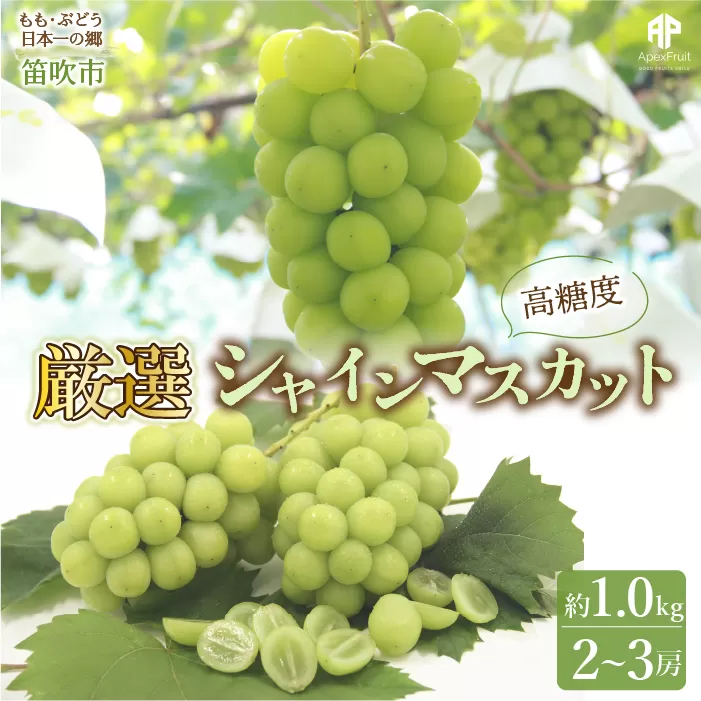 ＜25年発送先行予約＞笛吹市産　 厳選! シャインマスカット 2〜3房 約1.0kg 205-004