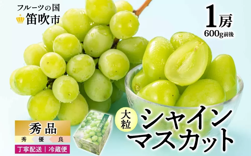 ＜25年発送先行予約＞シャインマスカット 1房 600g前後 クール便配送 177-008