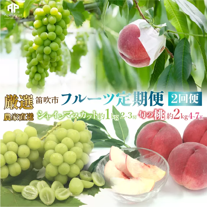 【2026年発送★先行予約】笛吹市産　厳選!農家直送「フルーツ定期便2回便」桃 約2キロ(4～7玉)6月～8月/シャインマスカット約1.0キロ(2～3房) 9月～10月 205-006-26y