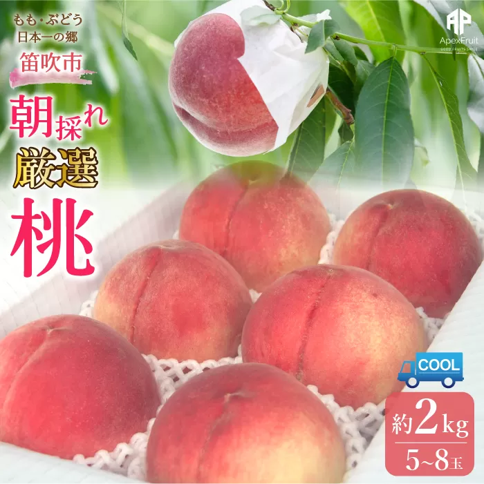 【2026年発送★先行予約】笛吹市産 厳選! 旬の桃 約2kg (5~8玉) 205-001-26y