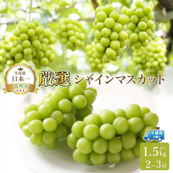 ＜25年発送先行予約＞笛吹市産 厳選シャインマスカット1.5kg以上 2〜3房 111-014