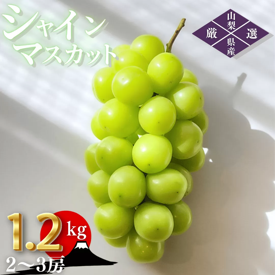 ＜25年発送先行予約＞笛吹市産　厳選シャインマスカット［1.2kg］（2～3房）フルーツ大国！山梨県笛吹市より産地直送 209-003 OUTTA REACH JAPAN