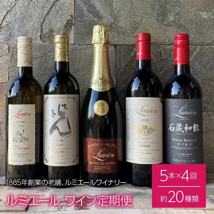 ルミエール 〜ワイン定期便〜 フルコース 063-005