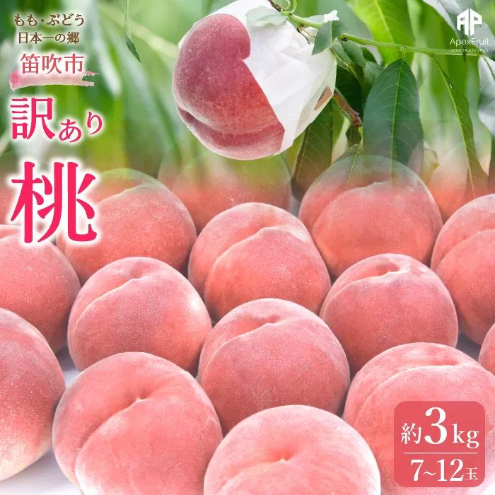 【2026年発送★先行予約】笛吹市産　訳あり桃 約3kg（7～12玉） 205-003-26y