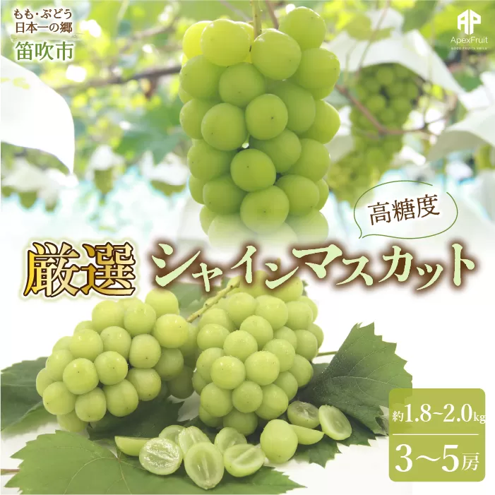 ＜25年発送先行予約＞ 笛吹市産　厳選! シャインマスカット 約1.8〜2.0kg 3〜5房 205-005
