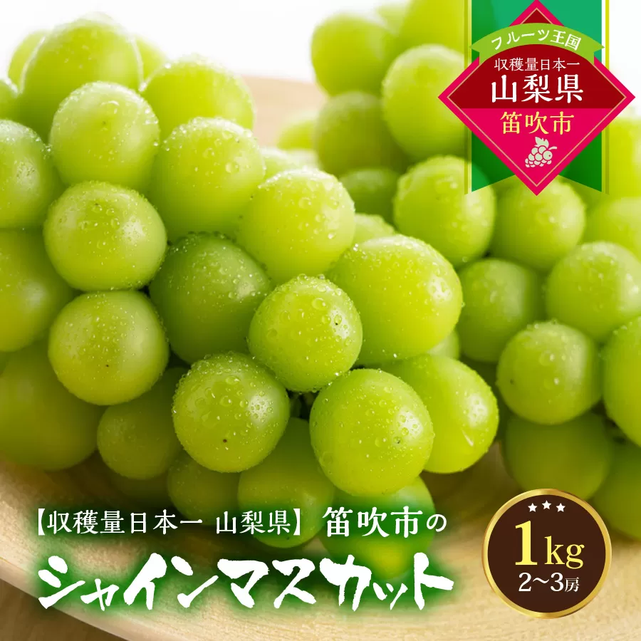 【2026年発送★先行予約】葡萄の一大産地！笛吹市産シャインマスカット1kg 167-002-26y