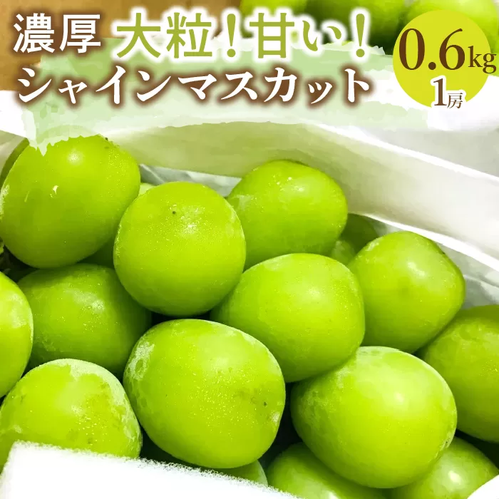 ＜25年発送先行予約＞農園直送！シャインマスカット　約600g（1房入り） 109-017