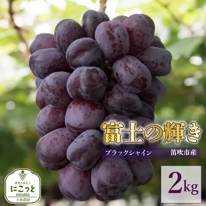 ＜25年発送先行予約＞富士の輝き2キロ 097-017