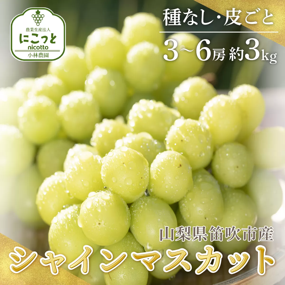 ＜25年発送先行予約＞シャインマスカット 3～6房 約3.0kg ※沖縄県・離島は発送不可 097-014