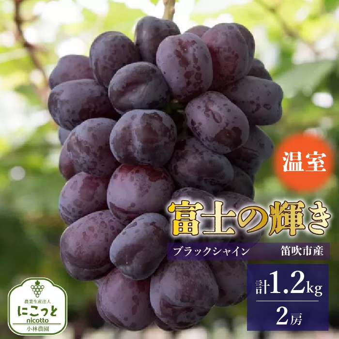 ＜25年発送先行予約＞温室　富士の輝　２房（合計1.2kg） 097-024
