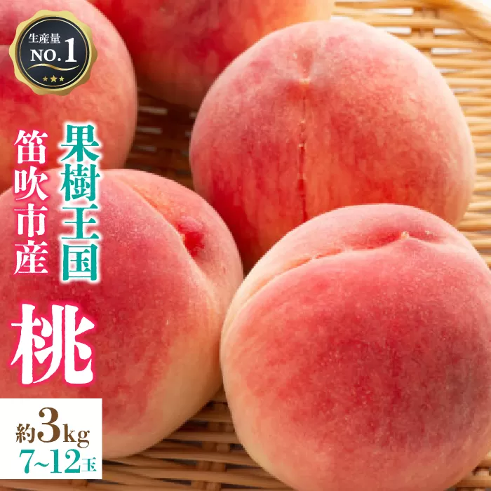 ＜25年発送先行予約＞山梨県 笛吹市産 朝獲り 新鮮 桃 3kg （7〜12玉） 126-006　※沖縄県・離島への発送不可となります。　※常温配送