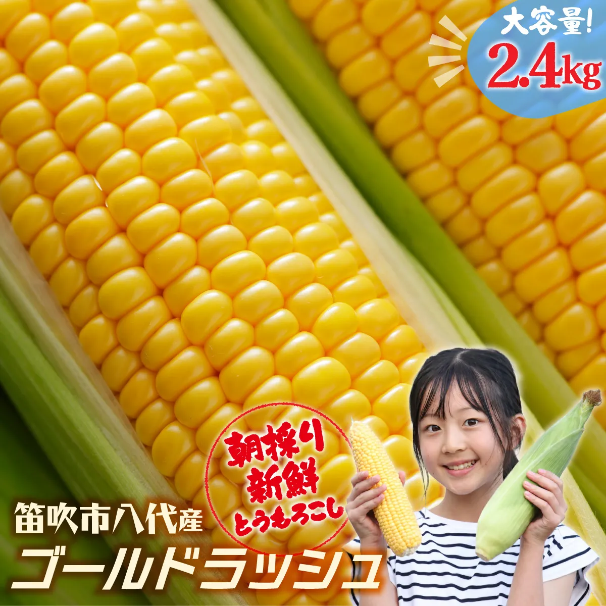【2026年発送★先行予約】笛吹市八代産とうもろこし「ゴールドラッシュ」2.4kg 167-003
