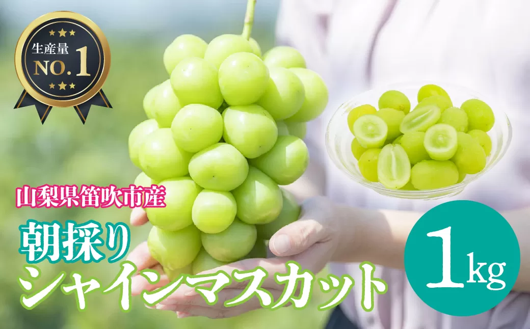 ＜25年発送先行予約＞山梨県笛吹市産シャインマスカット約1Kg　※クール便配送 113-003