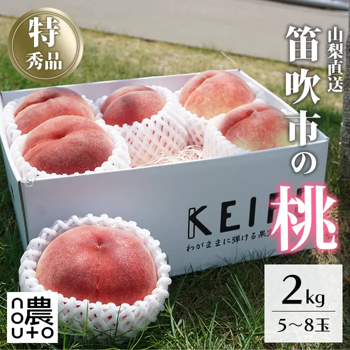 ＜25年発送先行予約＞日本一の生産量 山梨県産 桃 2kg以上 5~8玉 154-030