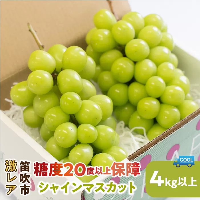 【2026年発送★先行予約】超レア大粒シャインマスカット4.0㎏以上（6房から10房）106-005