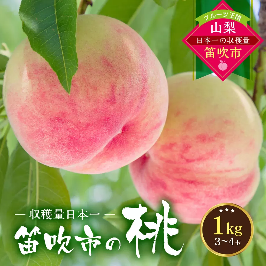 【2026年発送★先行予約】桃の一大産地!笛吹市産旬の桃約1kg 167-164-26y