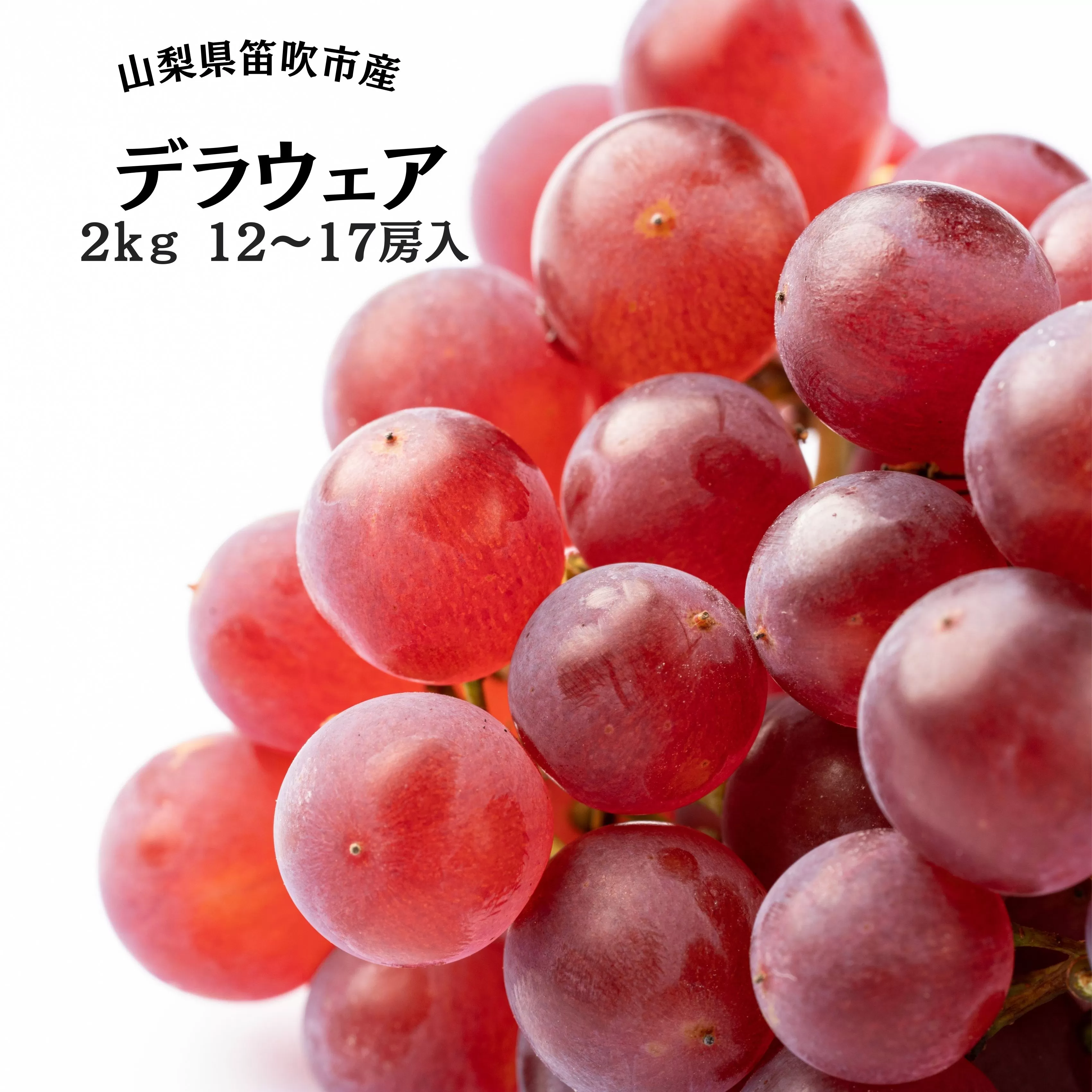 笛吹市産デラウェア12〜17房 2kg 167-051