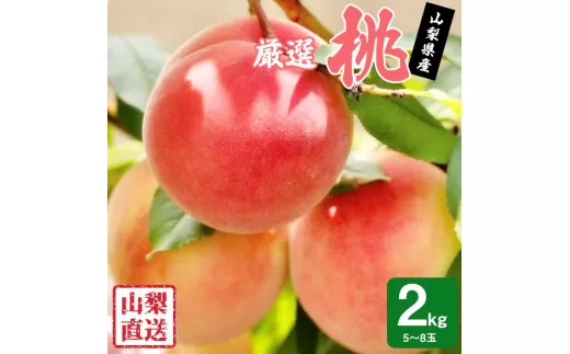 【2026年発送★先行予約】 厳選!!池田青果の桃　2kg　5～8玉 173-004-26y