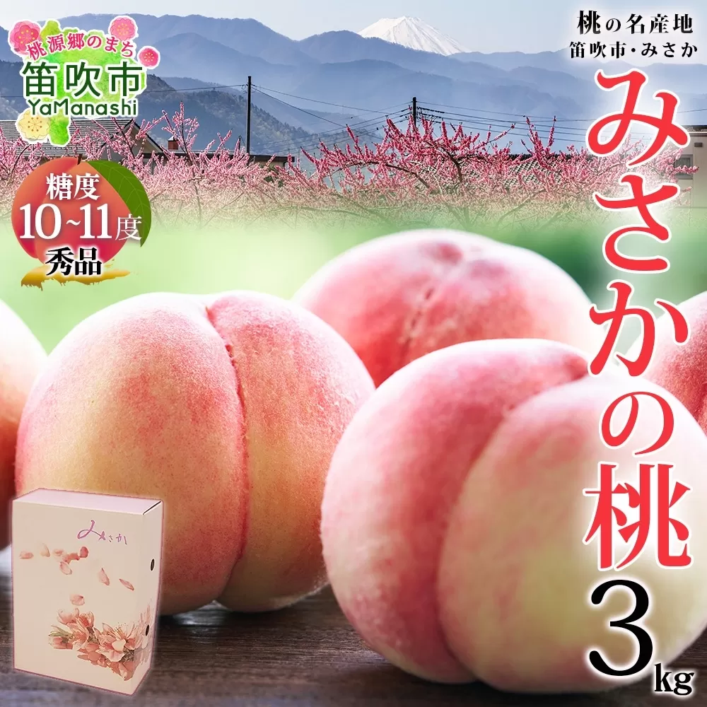 ＜25年発送先行予約＞桃 秀品 3kg 糖度10％以上 ※クール便配送 177-005