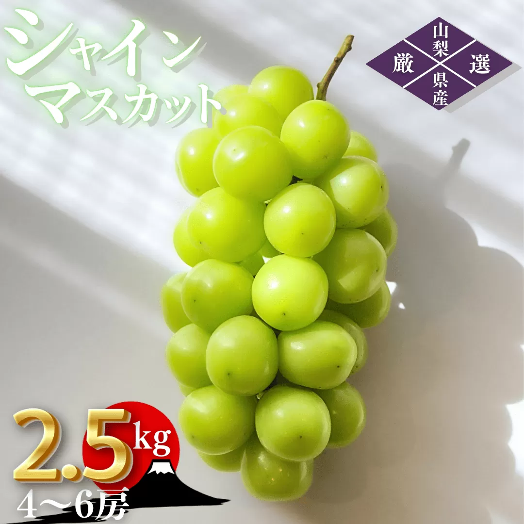 ＜25年発送先行予約＞笛吹市産　厳選シャインマスカット［2.5kg］（4～6房）フルーツ大国！山梨県笛吹市より産地直送 209-004 OUTTA REACH JAPAN