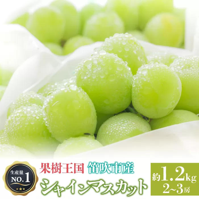 ＜25年発送先行予約＞人気 シャインマスカット 約1.2kg 2〜3房　※沖縄県及び離島への配送はできませんので予めご了承ください。　※常温配送　126-002