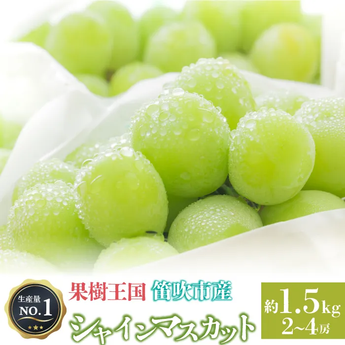 人気 シャインマスカット 約1.5kg 2～4房 ※沖縄県及び離島への配送はできませんので予めご了承ください。※常温配送126-029-26y
