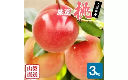 【2026年発送★先行予約】厳選!!池田青果の桃　3kg　8～13玉 173-005-26y